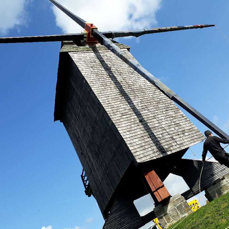 Nieuwe wieken voor Molen Te Rullegem<br>20-03-2019 - ©Wendy Baeyens