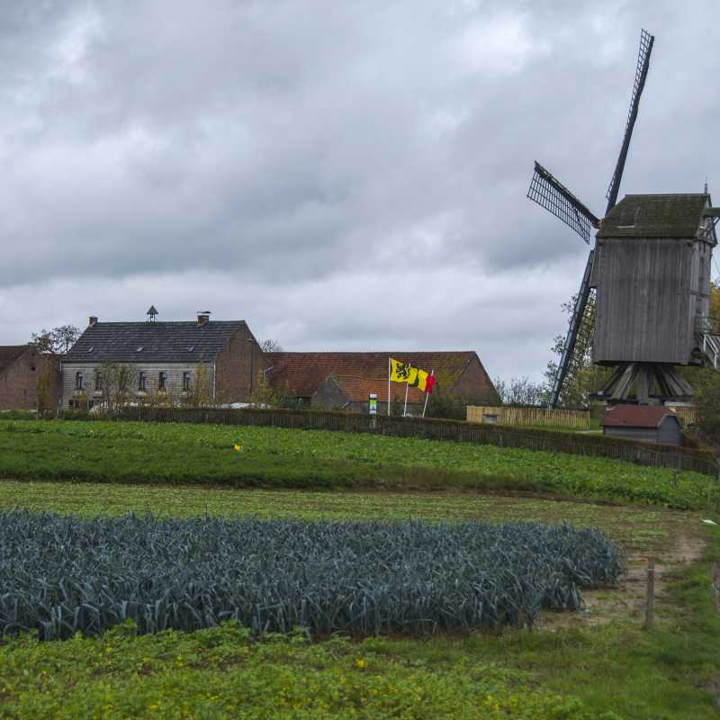 Molen in het landschap<br>25-10-2020 - ©Patrick Goossens