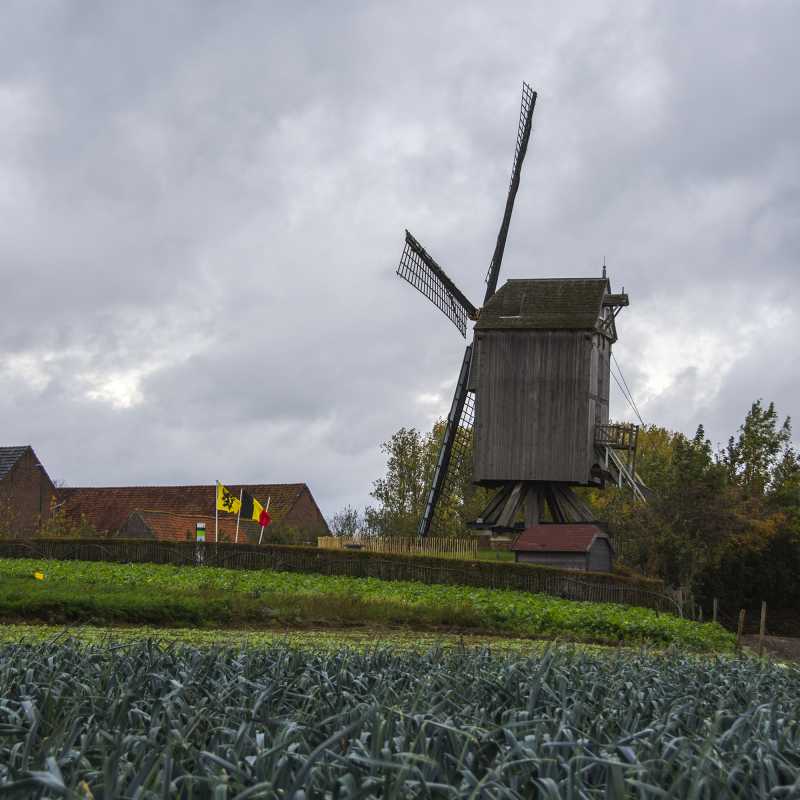 Molen in het landschap<br>25-10-2020 - ©Patrick Goossens