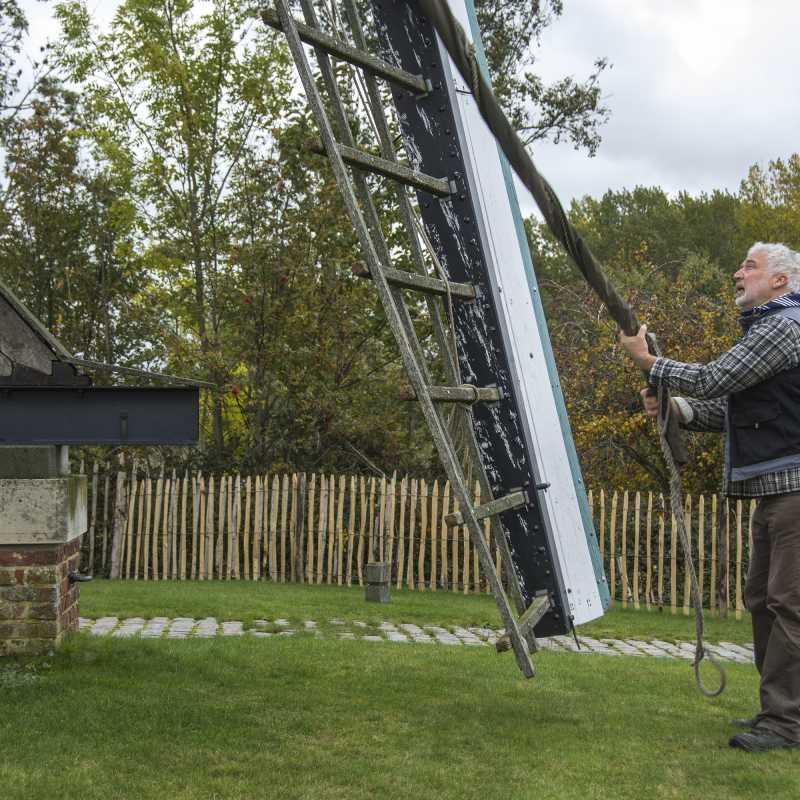 Afzeilen<br>25-10-2020 - ©Patrick Goossens