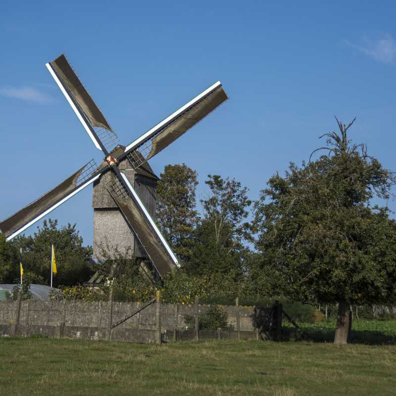 Molen in het landschap<br>13-09-2020 - ©Patrick Goossens